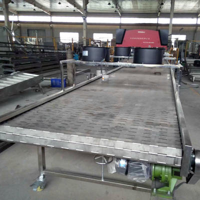 Packaging Conveyor  For Cosmetics Paper Products And Other Industry